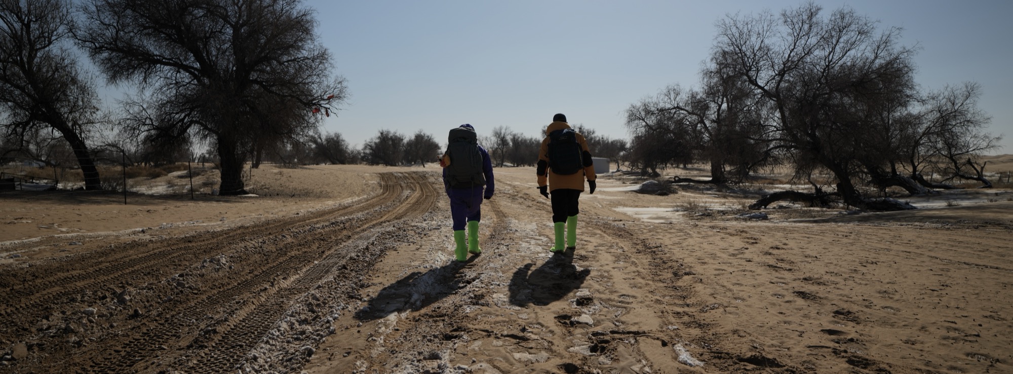 Desert Field Walk