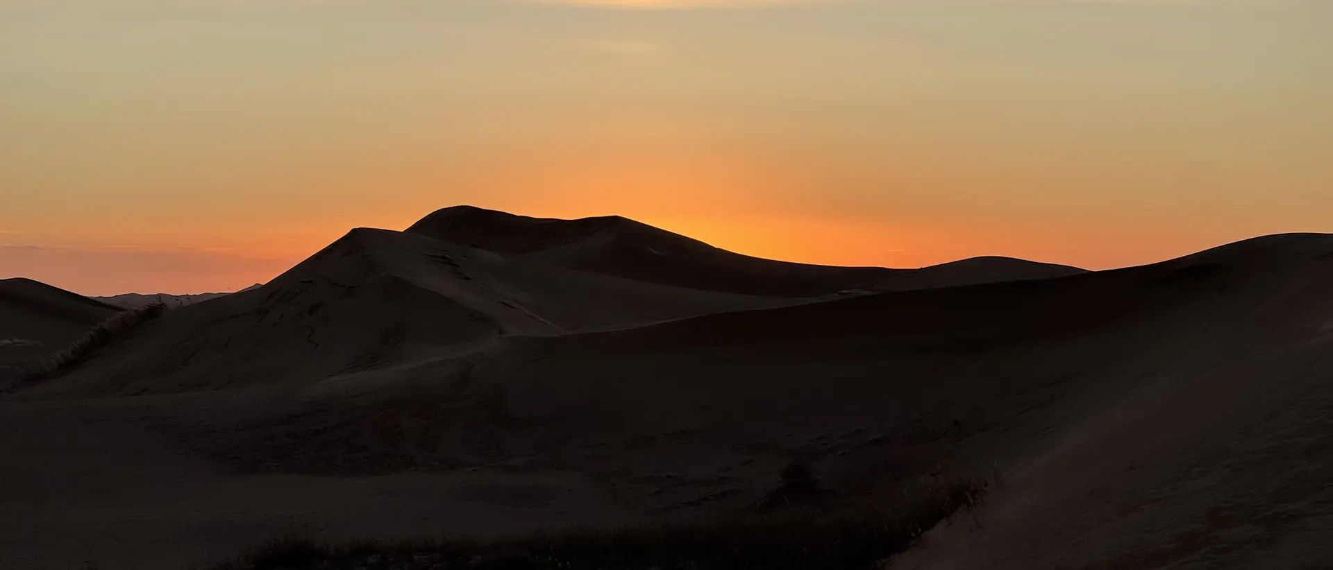Golden-hour dunes in the Tengger Desert