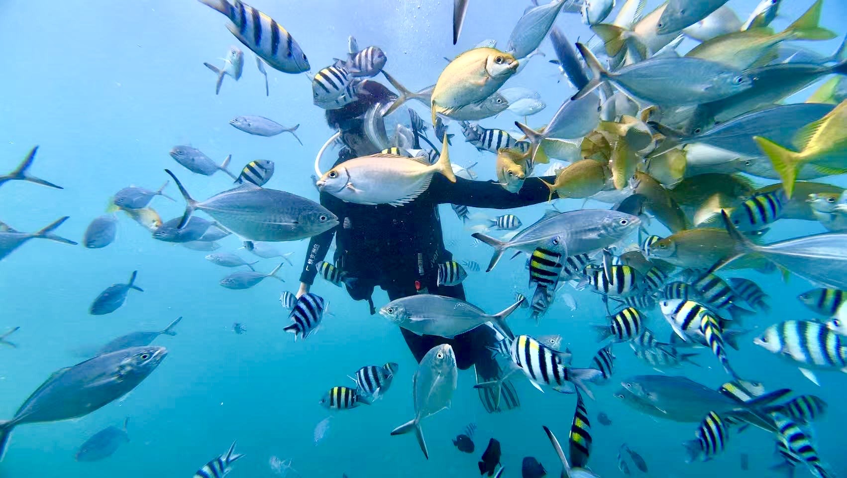 Underwater