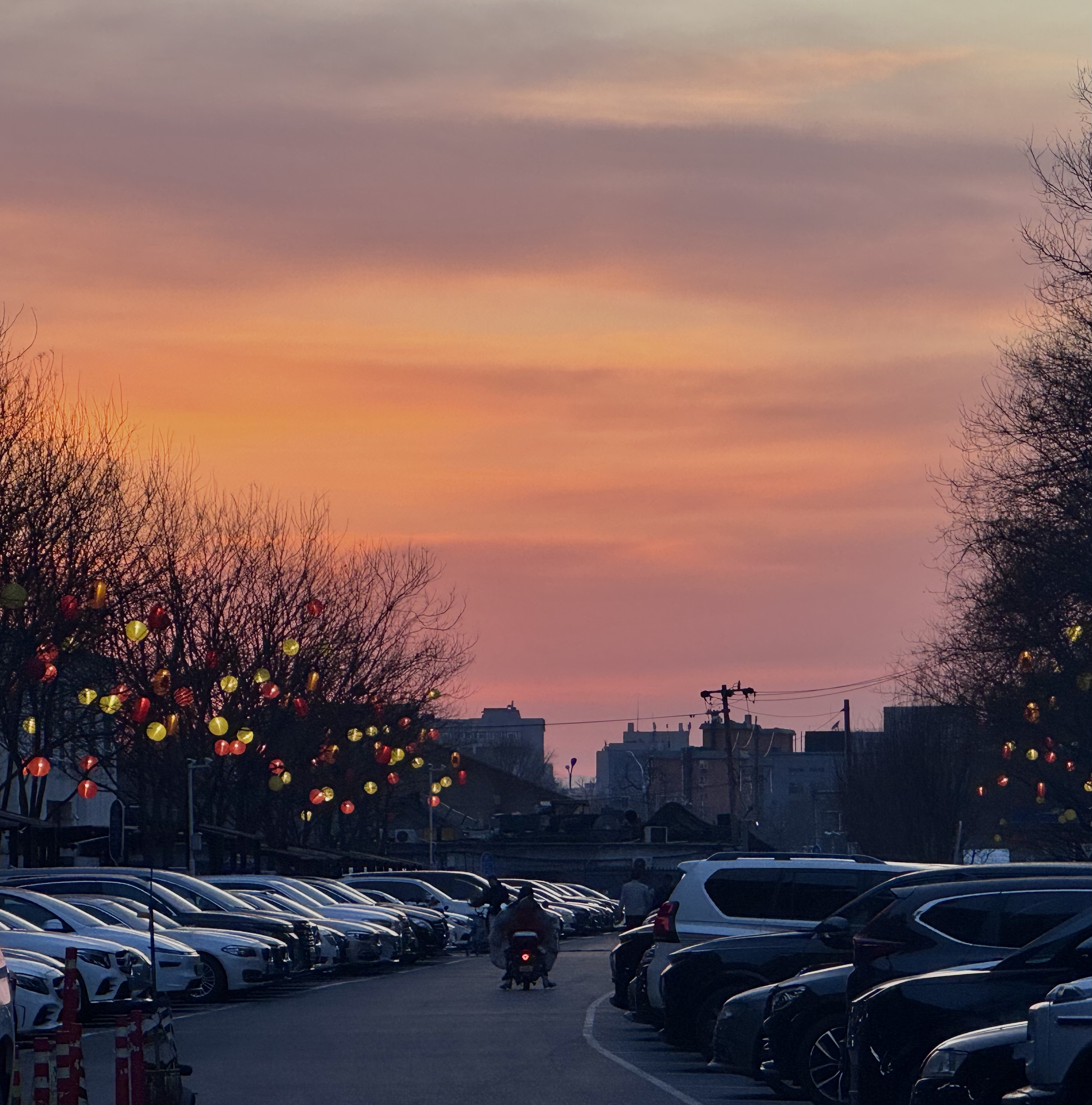Lantern Street, Crop