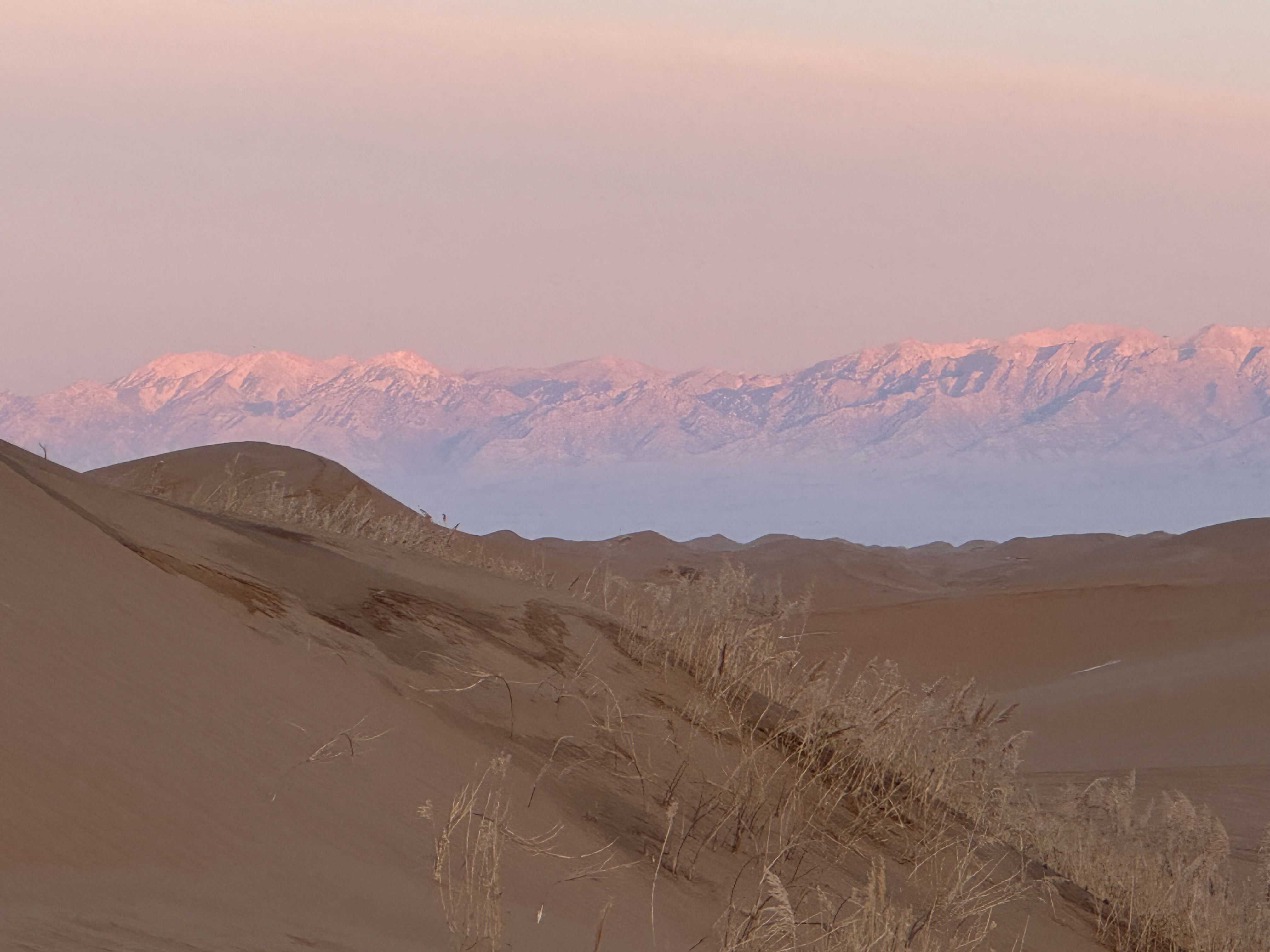 Pink Mountains